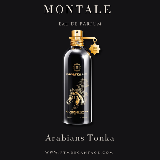 Montale Arabians Tonka